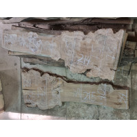 Каповый карагач 16-17