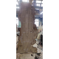 Каповый карагач 2