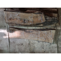 Орех 7 Орех 7