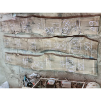 Орех 3 Орех 3