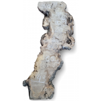 Большой каповый карагач 3