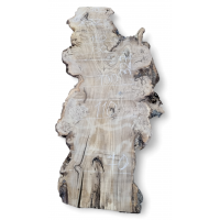 Большой каповый карагач 4