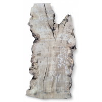 Большой каповый карагач 5