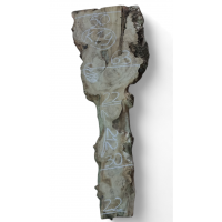 Каповый карагач 19 Каповый карагач 19