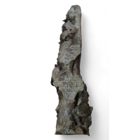 Каповый карагач 21 Каповый карагач 21