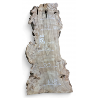 Каповый карагач 3