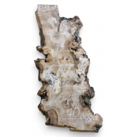 Каповый карагач 9